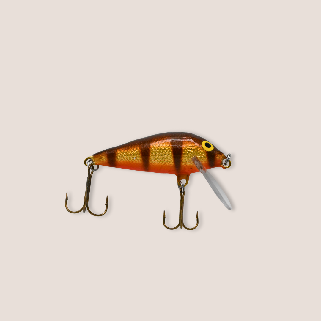 Special Edition: #200D