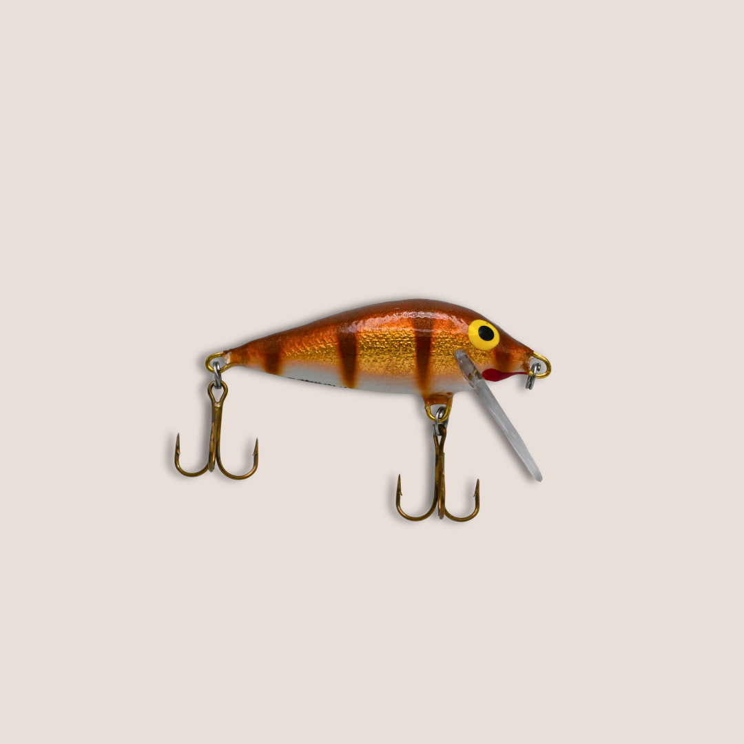 Special Edition: #200D